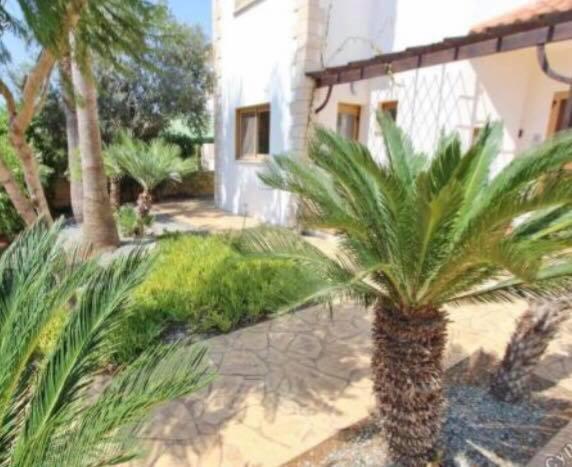 Sunrise Villa Αγία Νάπα Εξωτερικό φωτογραφία